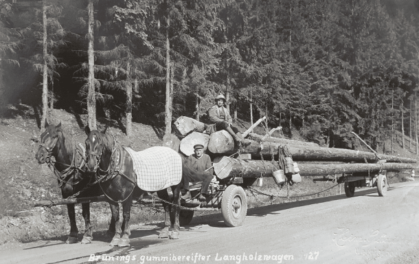 Langholzwagen mit Pferden, der Holz aus dem Wald zieht